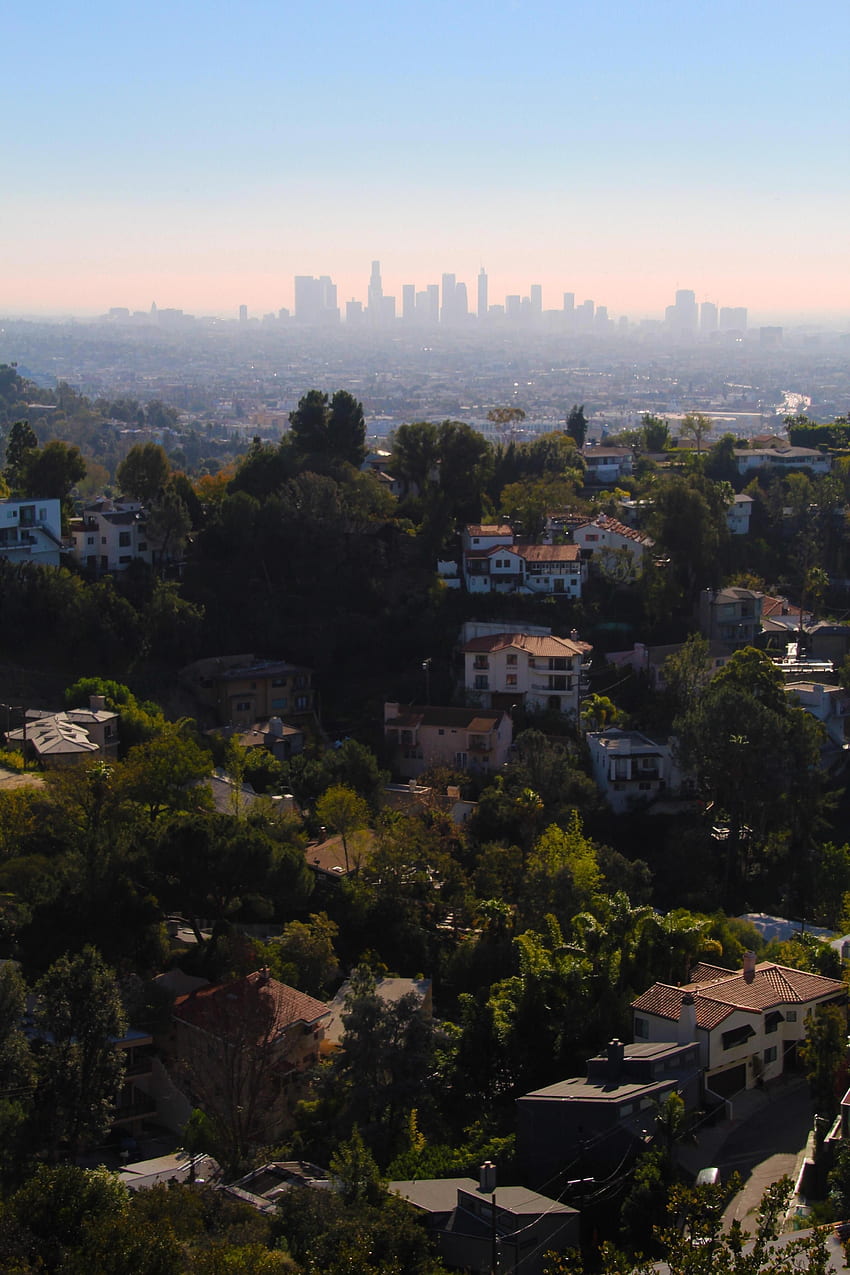 View of Los Angeles from the Hollywood Hills. Los angeles HD phone wallpaper