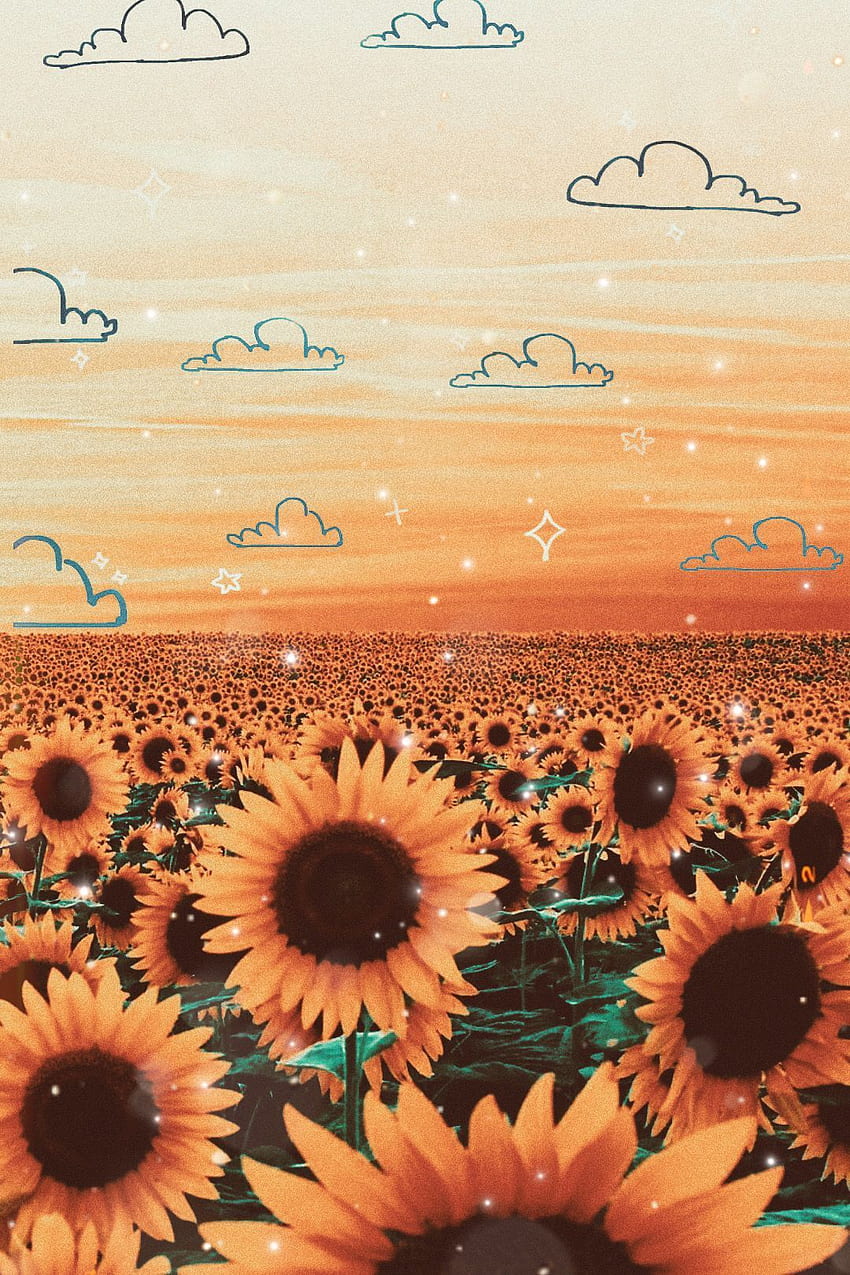 . Bunga matahari , iPhone bunga matahari , iPhone kupu-kupu, Ponsel Bunga Matahari Estetis wallpaper ponsel HD