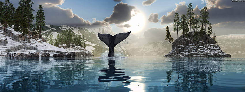 Visual Paradox 3D 'Tale of The Whale, Dual Screen Fish HD wallpaper