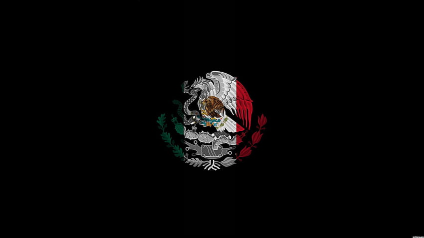 Mexican Pride, Coco Skull HD wallpaper