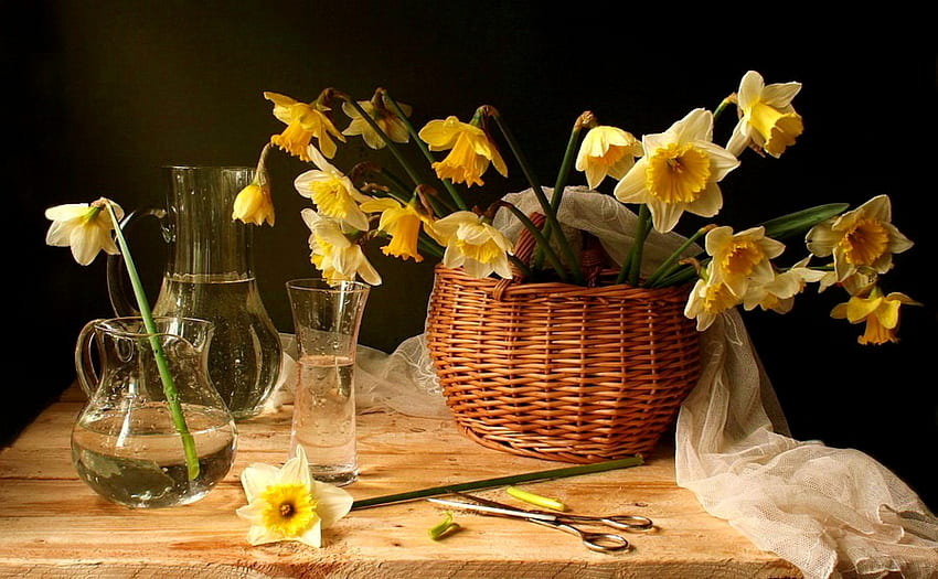 Daffodil Still, tesoura, cesta, narcisos, vasos, tecido branco papel de parede HD