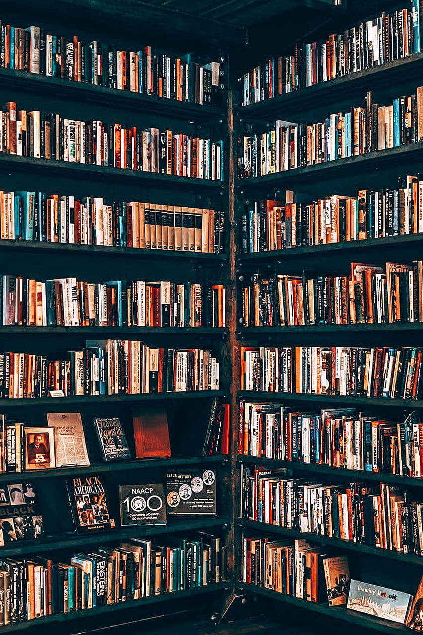 I n t e r e s t s - in 2020. Book , Library inspiration, Book graphy, Home Library HD phone wallpaper