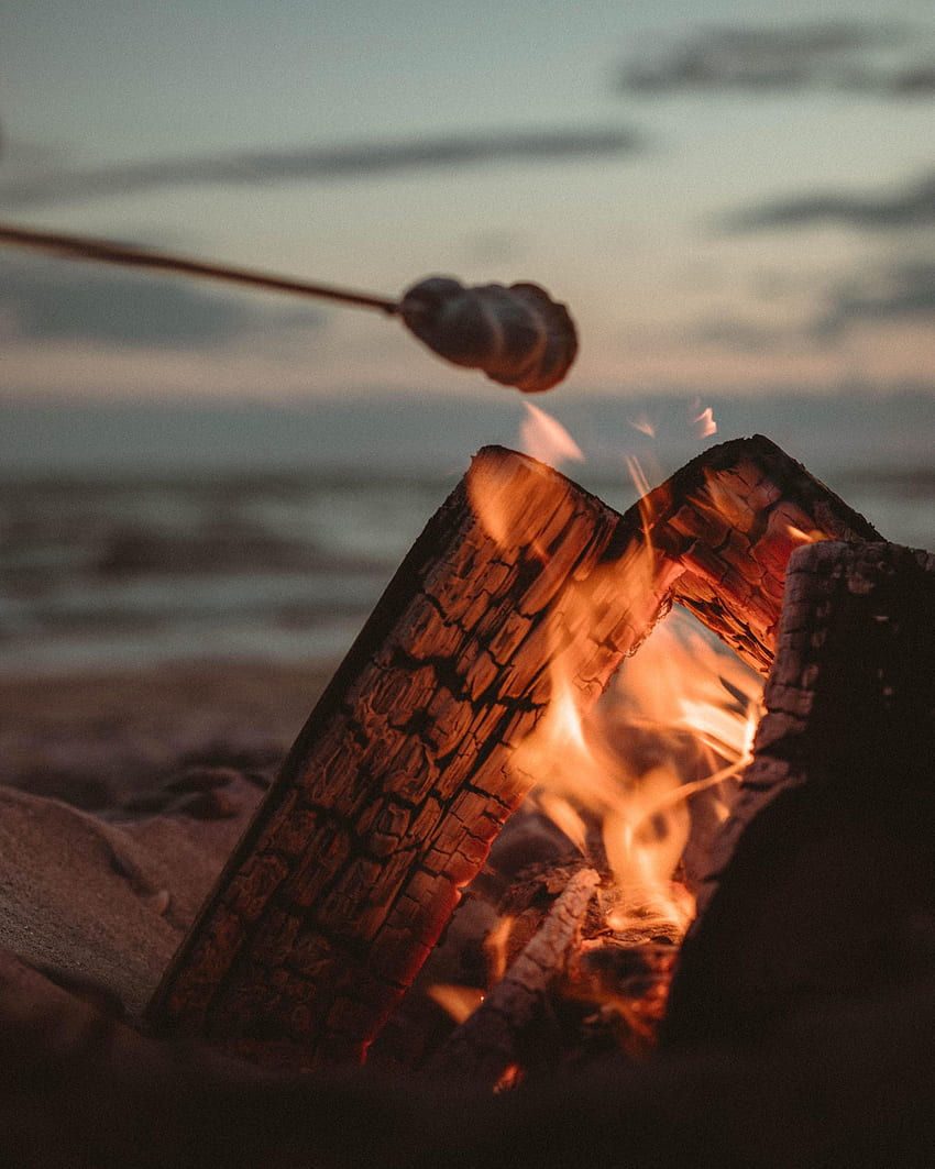 Bonfire, Fire, Flame, , , Marshmallow, Zephyr, Logs HD phone wallpaper