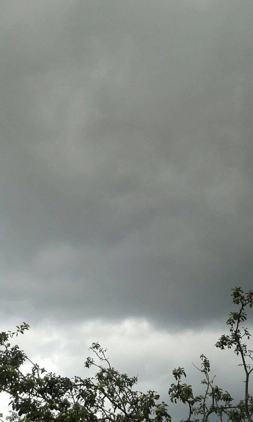 Cloudy sky, clouds, rain, rainy, storm, trees, leaves, grey, grey clouds. Sky aesthetic, Rainy sky, Sky and clouds HD phone wallpaper