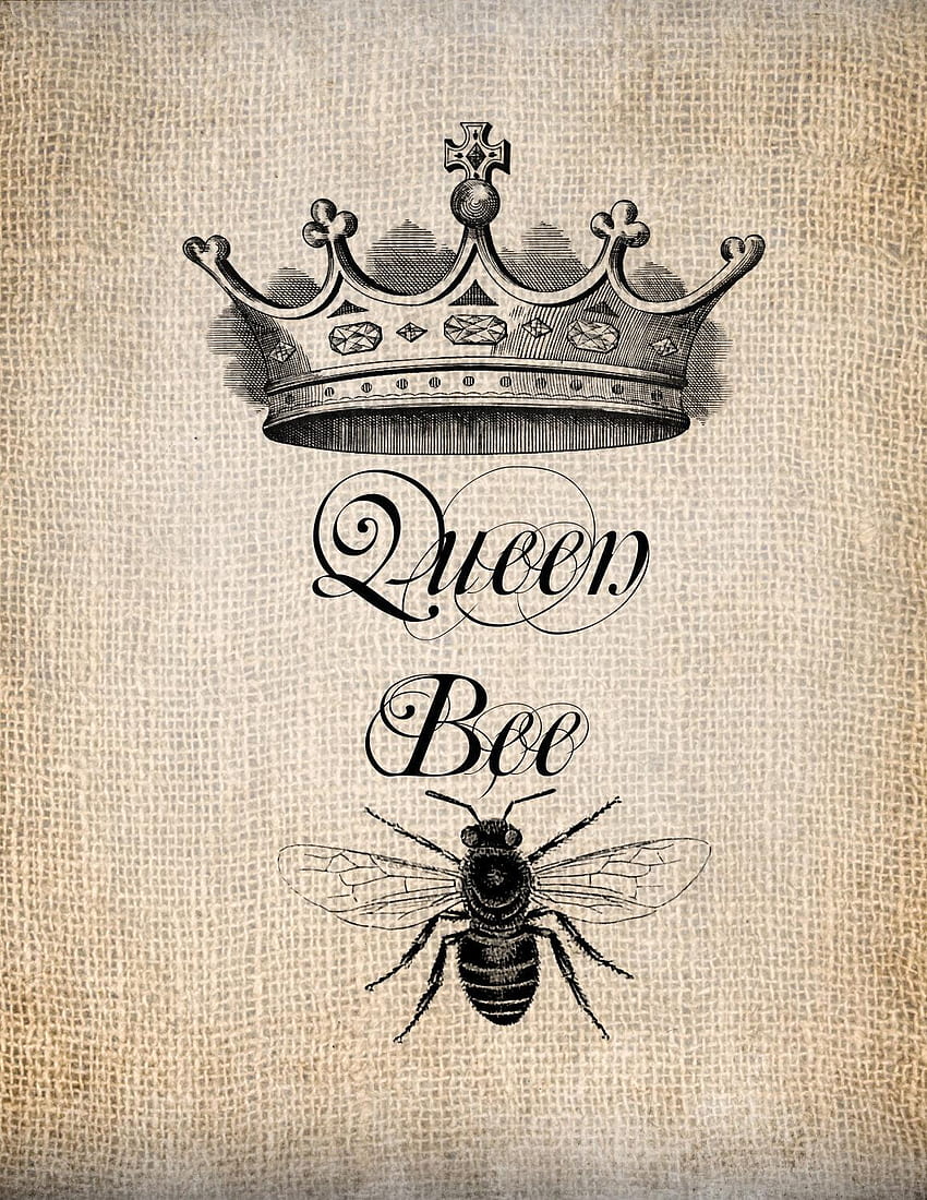 女王蜂、かわいい蜂 HD電話の壁紙