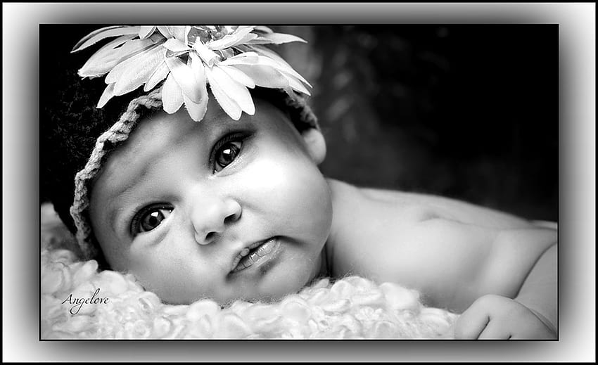 ღAngelic Baby Gazeღ, alluring, innocent, cute, baby, wings of an angel, angel, purity, delicate, embrace, soul, cherished, flower, black and white, kid, angelic, amazing, gazes, adorable, holding, beautiful, charming, pure, child HD wallpaper