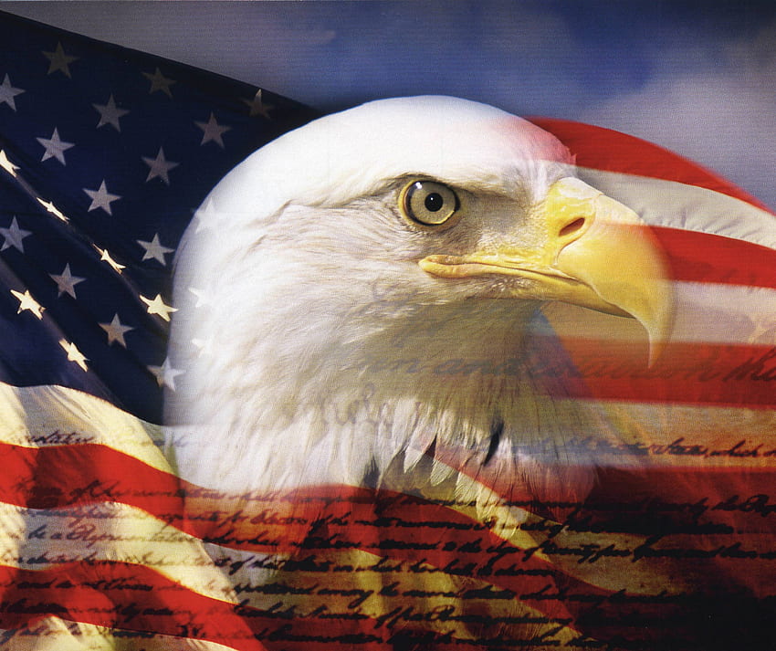 Of Eagles Dengan Koleksi Bendera Amerika, Patriotic Bald Eagle Wallpaper HD