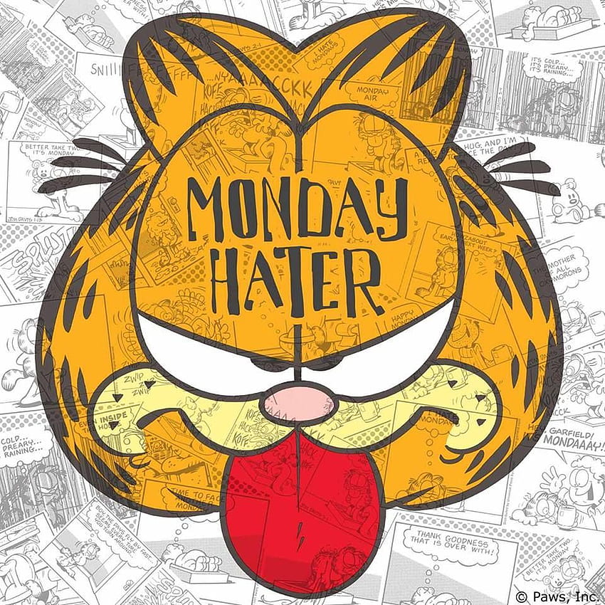 Garfield, I Hate Mondays HD phone wallpaper