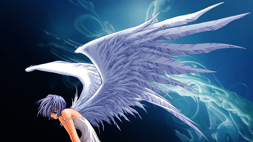 Wings anime anime girls lanthiriel angel, Anime Birds HD wallpaper | Pxfuel