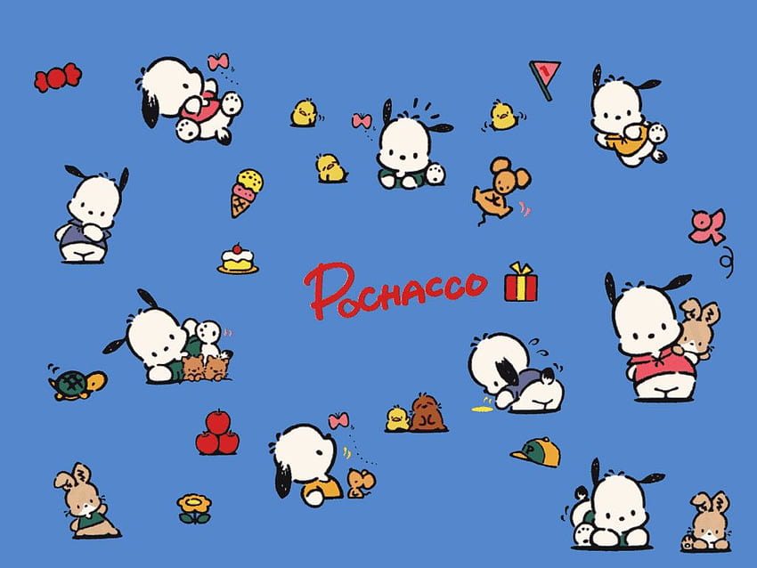 Почако . Pochacco , Pochacco Sanrio и Pochacco Hello Kitty HD тапет