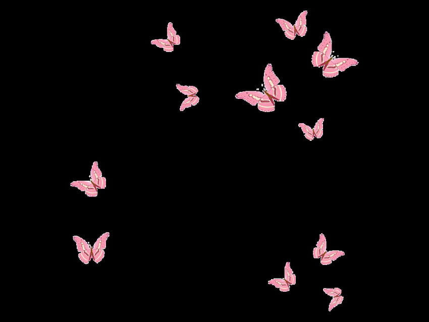 Free Vector  Butterfly desktop wallpaper pink aesthetic border vector  animal illustration