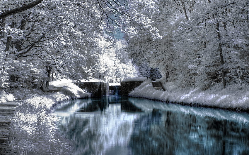 アイシー ブルー 冬、冬、青、雪、木々、自然、水 高画質の壁紙