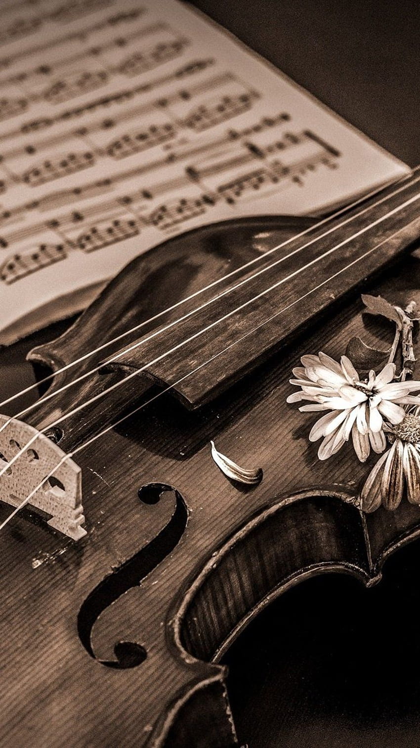 Download Strumming the Strings of a Classic Violin Wallpaper | Wallpapers .com