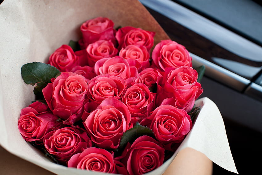 Rote Rosen, Blumenstrauß, frische Blumen HD-Hintergrundbild