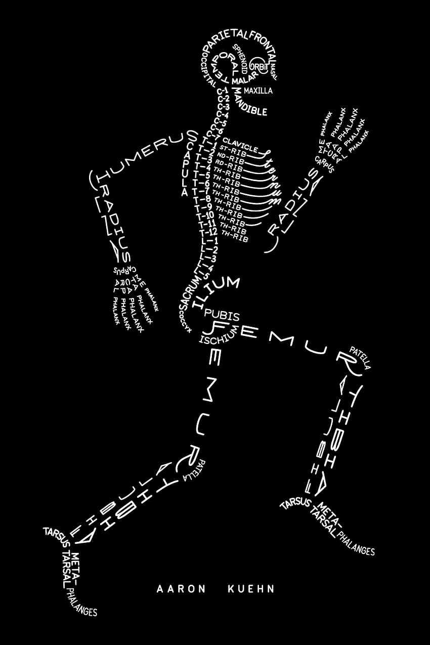 Esqueleto de Aaron Kuehn e tipogramas musculares - PDFs para parede, fisioterapia Papel de parede de celular HD