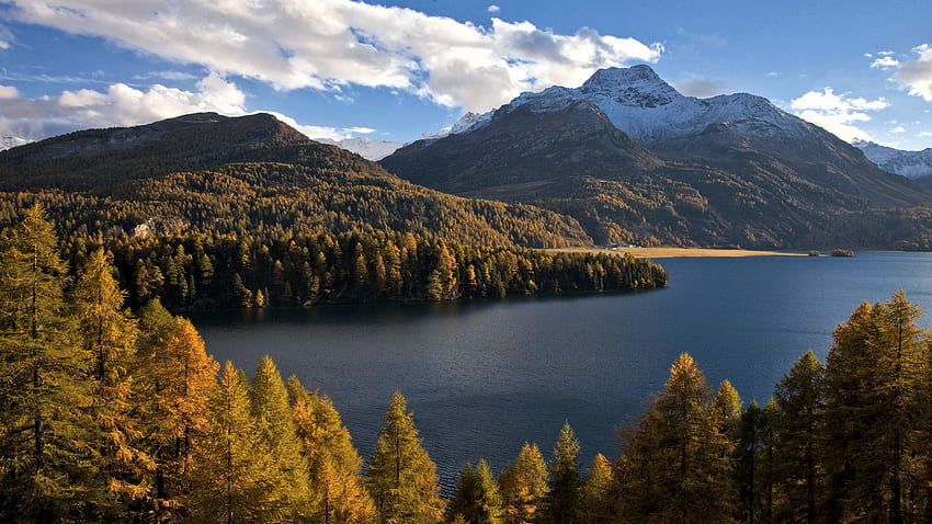 シルス湖、エンガディン、スイス、山、秋、木、風景、雲、空、アルプス 高画質の壁紙