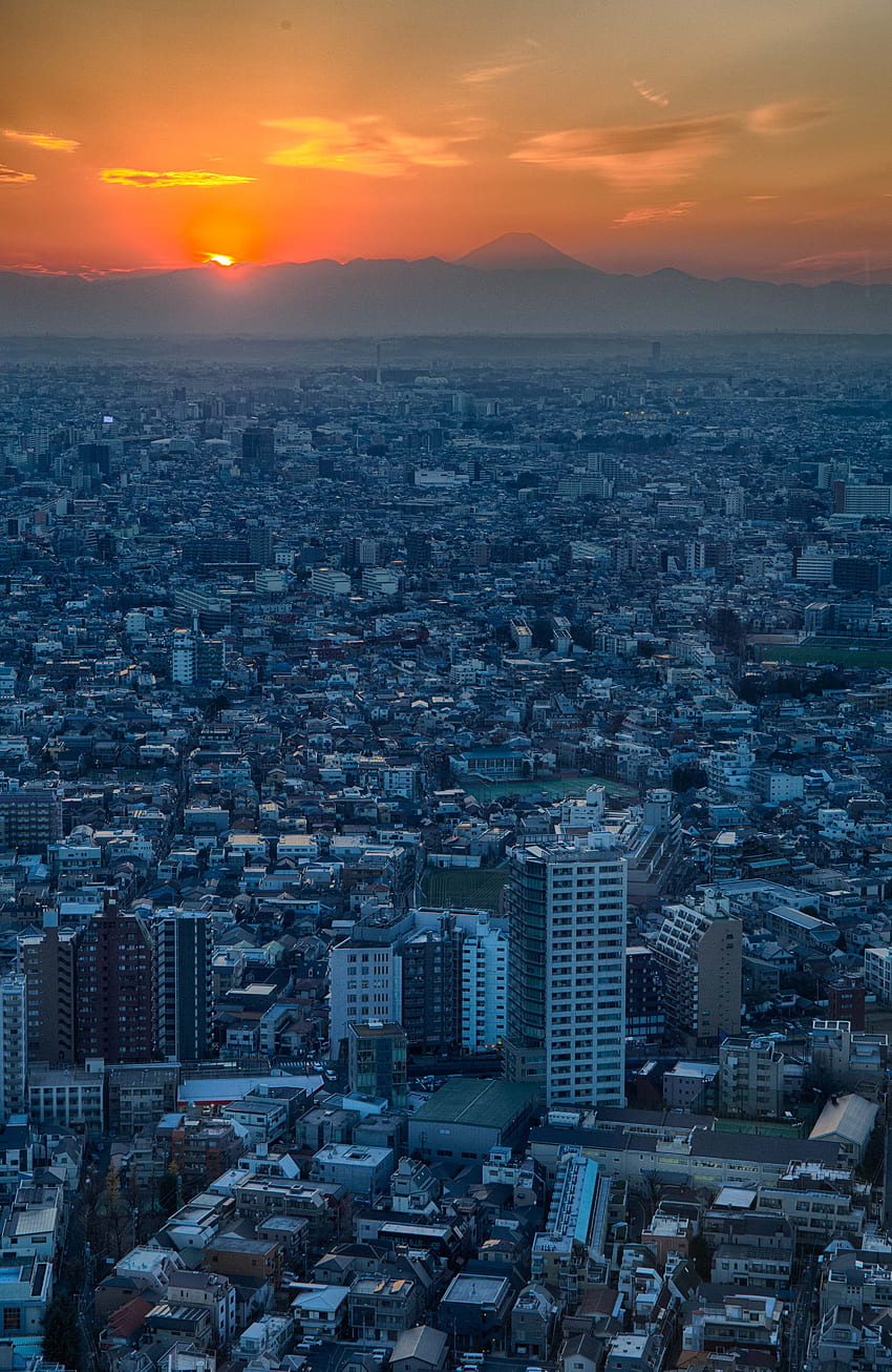 都市, 都市, 建物, 上からの眺め, 地平線, 日本, 東京 HD電話の壁紙