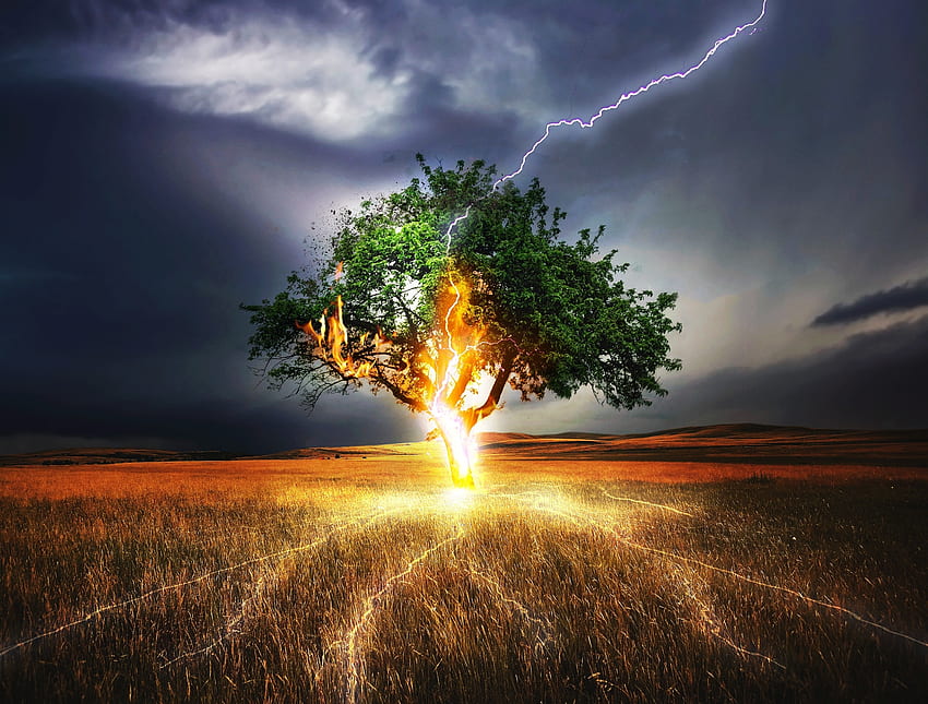 Lightning, flash, tree, landscape, storm HD wallpaper