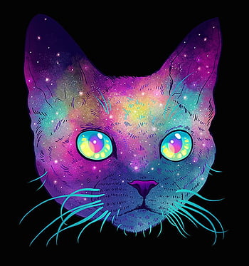 psychedelic cat iphone wallpapers