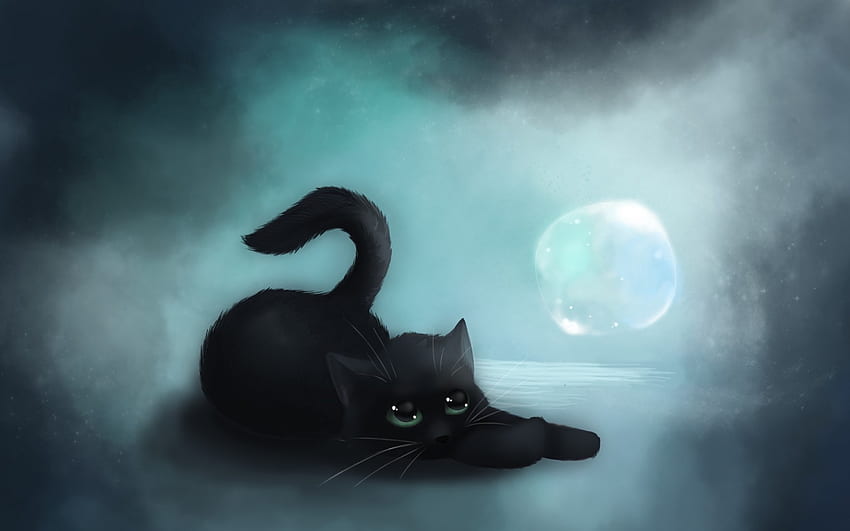 안드로이드 홈 화면 검은 고양이, 아름다운 검은 고양이 HD 월페이퍼