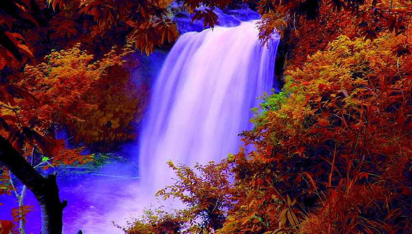 Herbstwasserfall, Grafik, Attraktionen in Träumen, Herbst, Wälder, Wasserfälle, rote Blätter, Liebe vier Jahreszeiten, Bäume, Herbst, Natur HD-Hintergrundbild