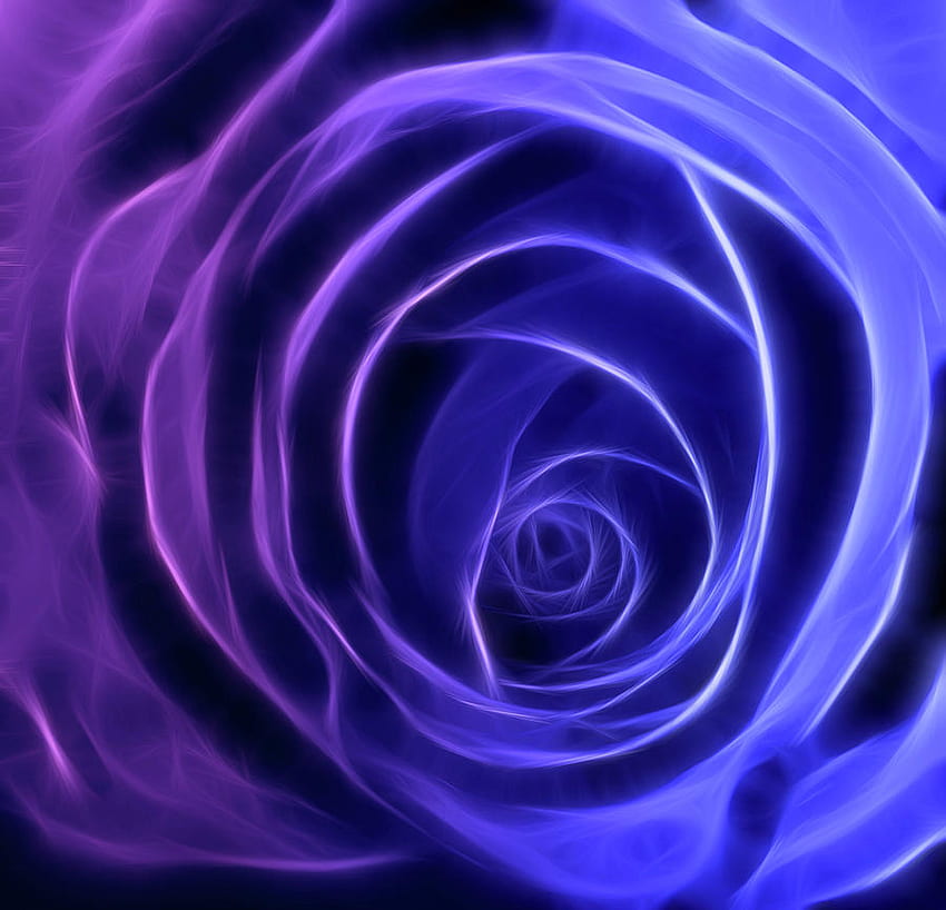 Neon - rose purple to blue, grandeur, romance, elegance, secrecy HD wallpaper