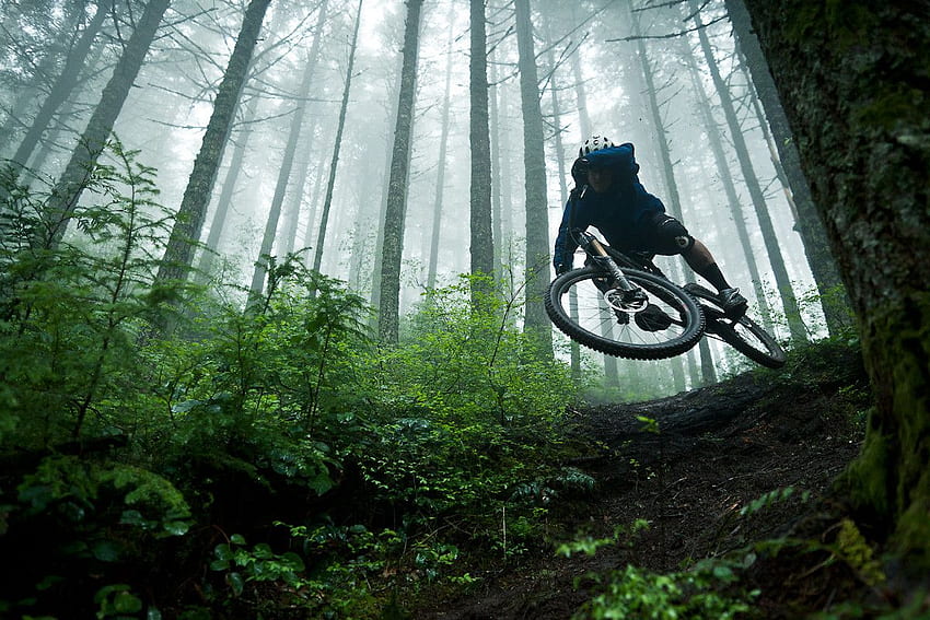 Noroeste do Pacífico - Yeti Cycles - Mountain Bike, Floresta Downhill papel de parede HD