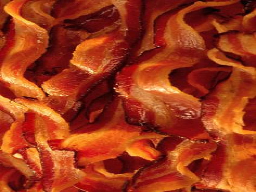Bacon HD wallpaper  Pxfuel