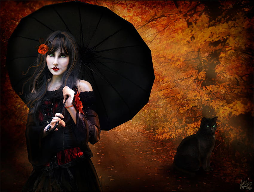 Lady of the night, night, blue, black, kitty, goth, beauty, rose, darkness, flower, female, gothic, roses, eyes, girl, cat, beautiful, dark, woman, red, face, flowers HD wallpaper