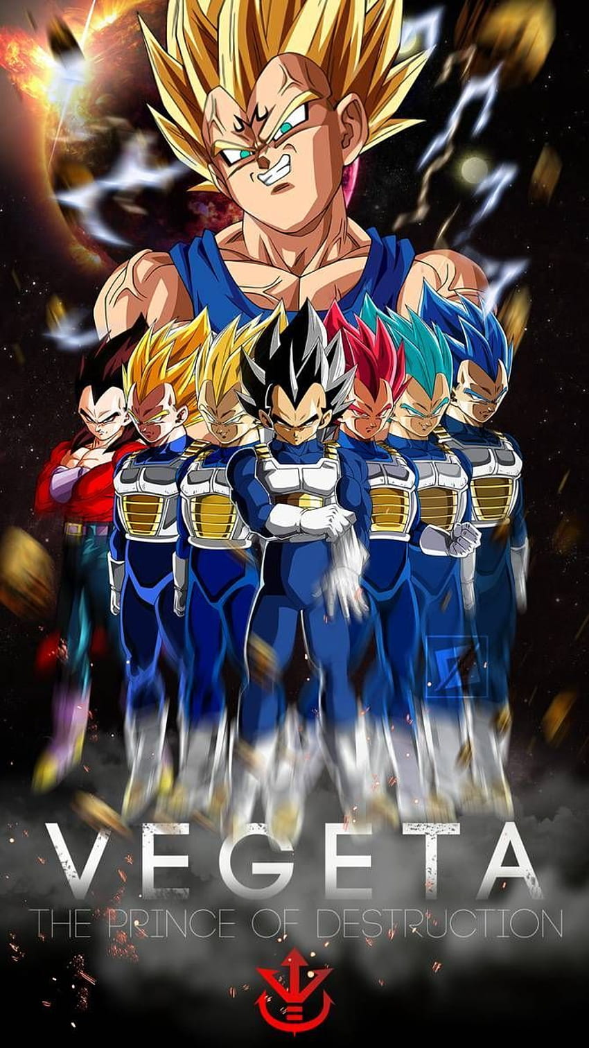 Vegeta Il Principe della Distruzione Mobile di davidmaxsteinbach. Anime dragon ball super, opere d'arte di Dragon ball super, anime dragon ball, Goku tutte le forme Sfondo del telefono HD