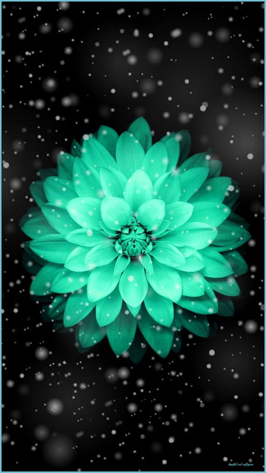 Of Beautiful Teal Flower, Cool Different HD phone wallpaper