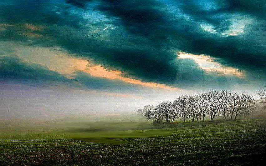 FIELD DOWN THE HILL, morning, sunlight, sunbeams, grass, misty, field, foggy, clouds, trees, sky HD wallpaper