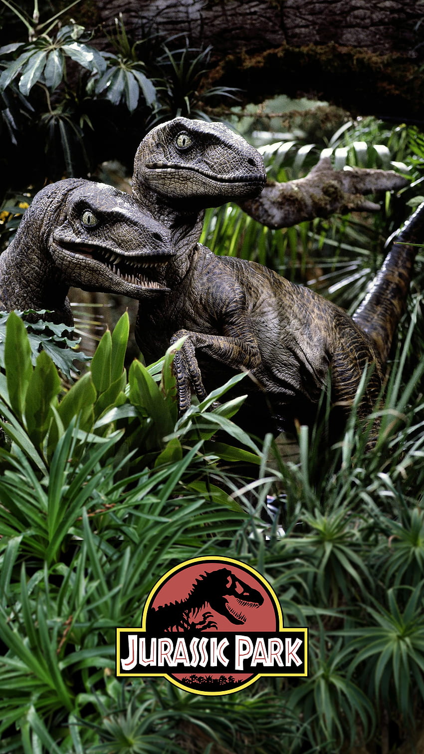 Hadiah saya untuk Anda, ponsel beresolusi tinggi lainnya, saya harap Anda menyukainya. (): JurassicPark, Jurassic Park Velociraptor wallpaper ponsel HD