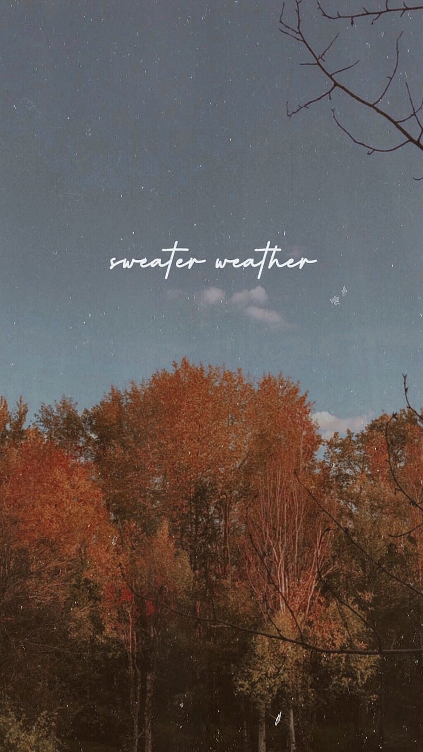 Aesthetic iPhone XR wallpaper  Sweater weather lyrics Weather wallpaper  Weather song