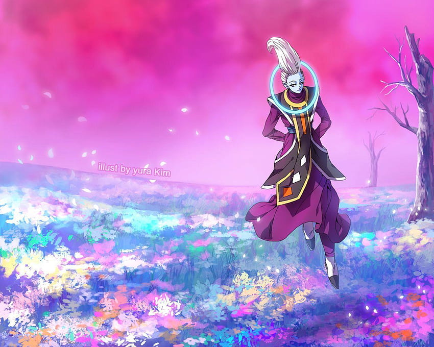 Whis HD wallpaper