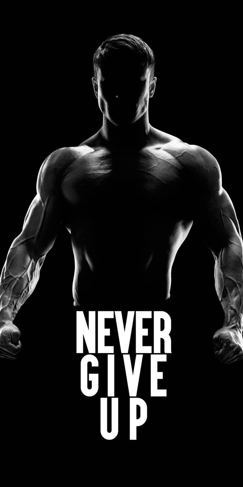 Fitness motivation quotes for men gym, Funny Gym HD phone wallpaper | Pxfuel