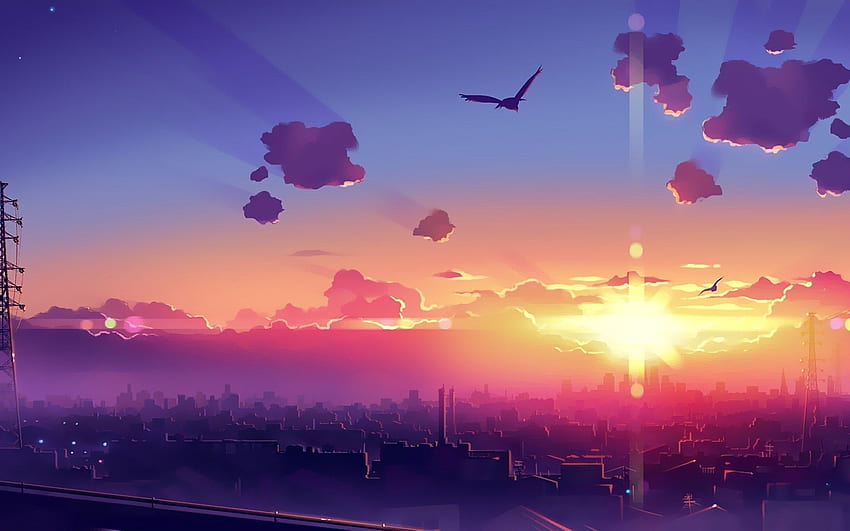 City Birds Clouds Sun Anime HD wallpaper