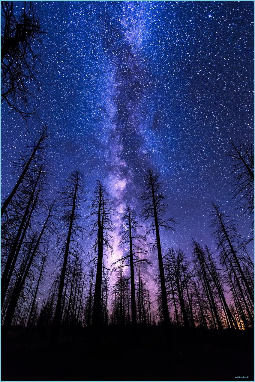 Mobile NIGHT SKY START FOREST MILKYWAY VIOLET - Night Sky, Blue and Purple Sky HD phone wallpaper