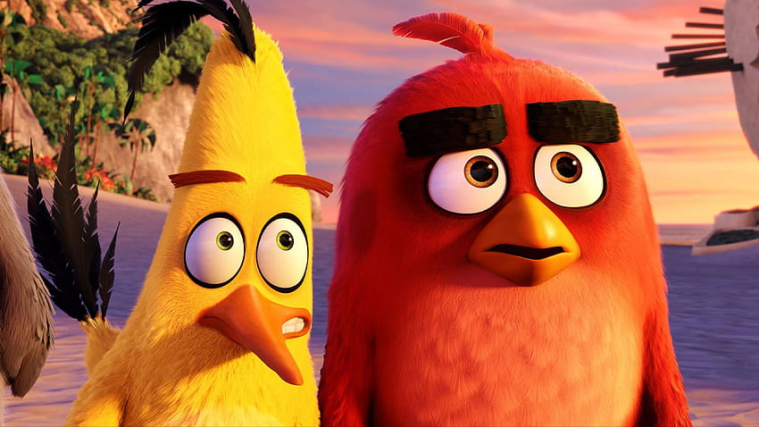 Red And Chuck Angry Birds, Filmy Tapeta HD