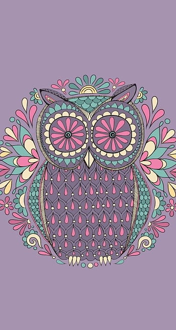 Colorful Cartoon Owl Is - Cute, Spring Owl HD phone wallpaper | Pxfuel
