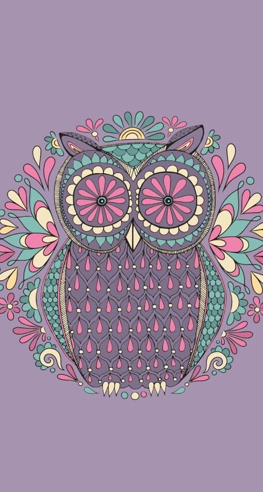 spring owl desktop background