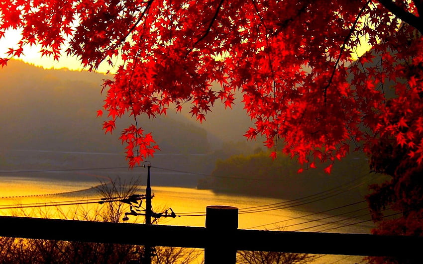 Autumn Landscape, Landcapes HD wallpaper