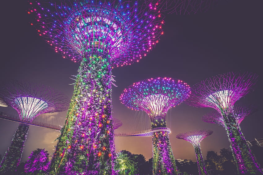 Villes, Ville, Illumination, Décoration, Éclairage, Singapour, Arbres artificiels Fond d'écran HD