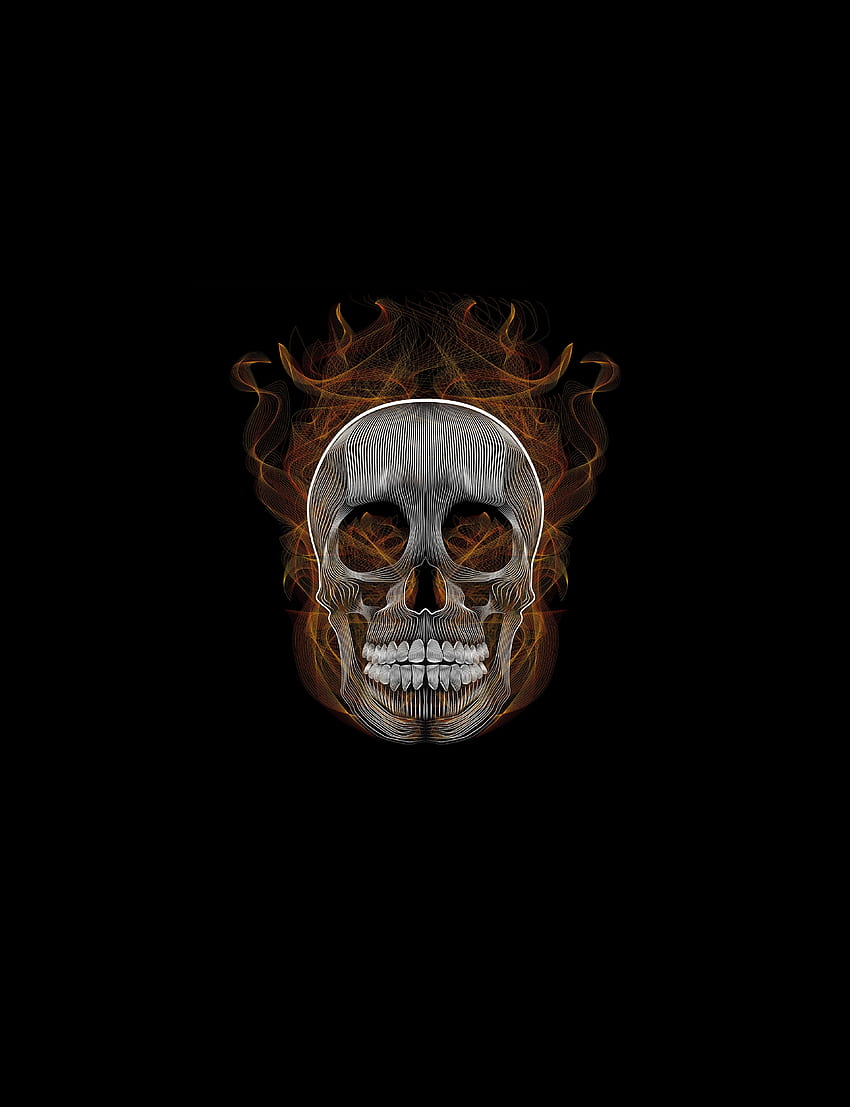 Blend, skull, vector, illustration HD phone wallpaper