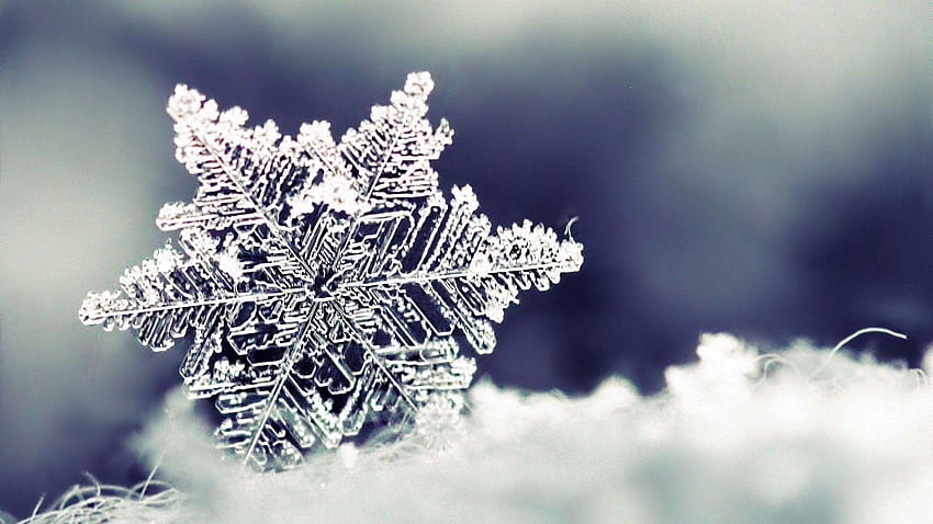 Real Snowflake at Landscape Monodomo, Real graphy HD wallpaper