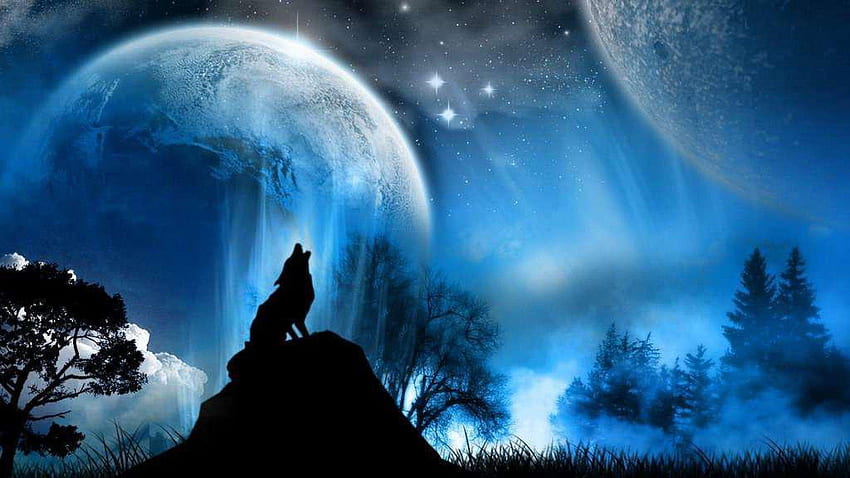 Night Wolf, Wolf Night Forest HD wallpaper
