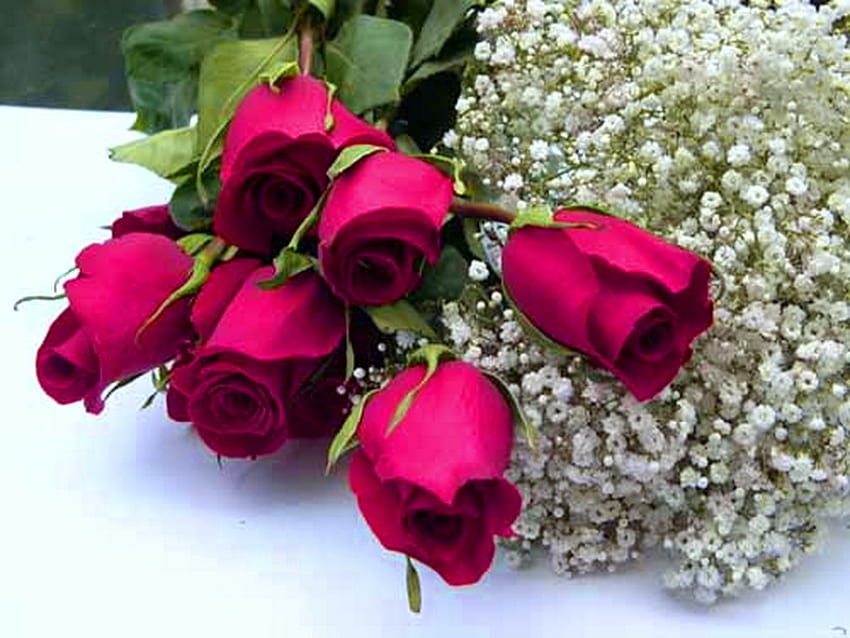 Wesołych urodzin i Wesołych Świąt Panno Kate, róże, urodziny, Wielkanoc, prezent, uroczystość Tapeta HD