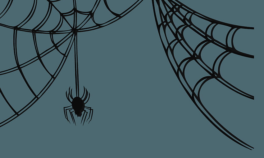 graphy Spider Web (, Phone, Tablet) - Awesome, Cartoon Spider Web HD wallpaper