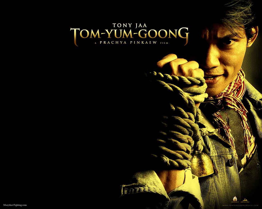 Muay Thai - Estilos integrales de boxeo tailandés, The Protector fondo de pantalla