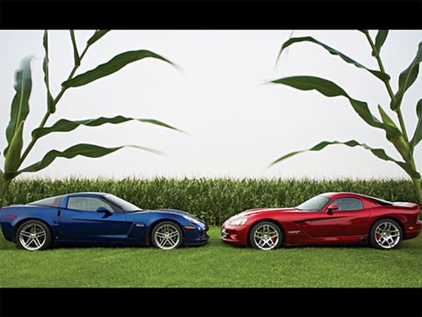 Corvette VS Viper , blue, cars, red, viper, corvette HD wallpaper